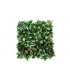 PHOTINIA | lux-garden.fr by Nicolazi Design