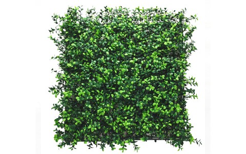 MISTERY | lux-garden.fr by Nicolazi Design